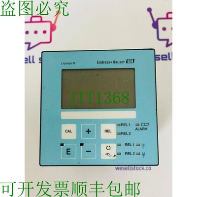 原装供应Endress+Hauser CPM223-MR0505 和 LIQUISYS-M