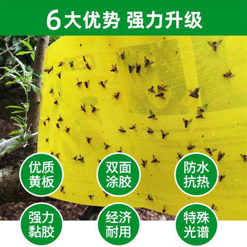 黄板双面粘虫板诱虫板瓜果实蝇针蜂贴粘胶板果蝇诱捕器引诱剂粘板