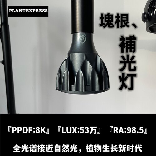 补光灯太阳光现货全光谱