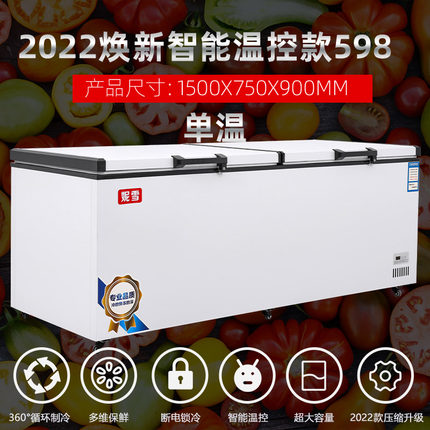 妮雪598卧式冰箱冷柜大冰柜冷藏双温商用大容量小冰柜冷冻柜家用