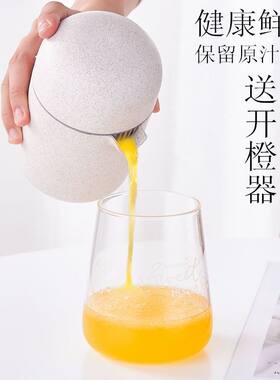 手动榨汁机第一名小型简