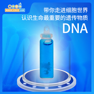 水果DNA提取生物科学小实验套装 儿童STEM创客科技DIY小制作品玩具