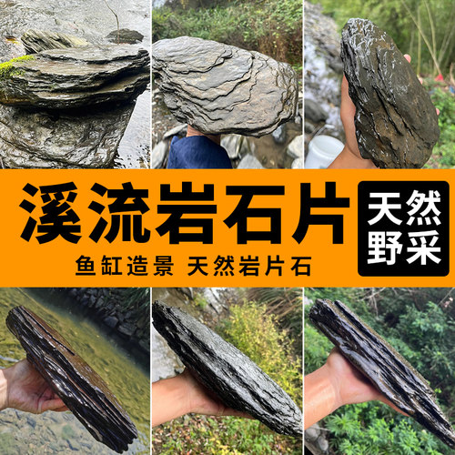 鱼缸原生溪流片岩石片造景装饰用