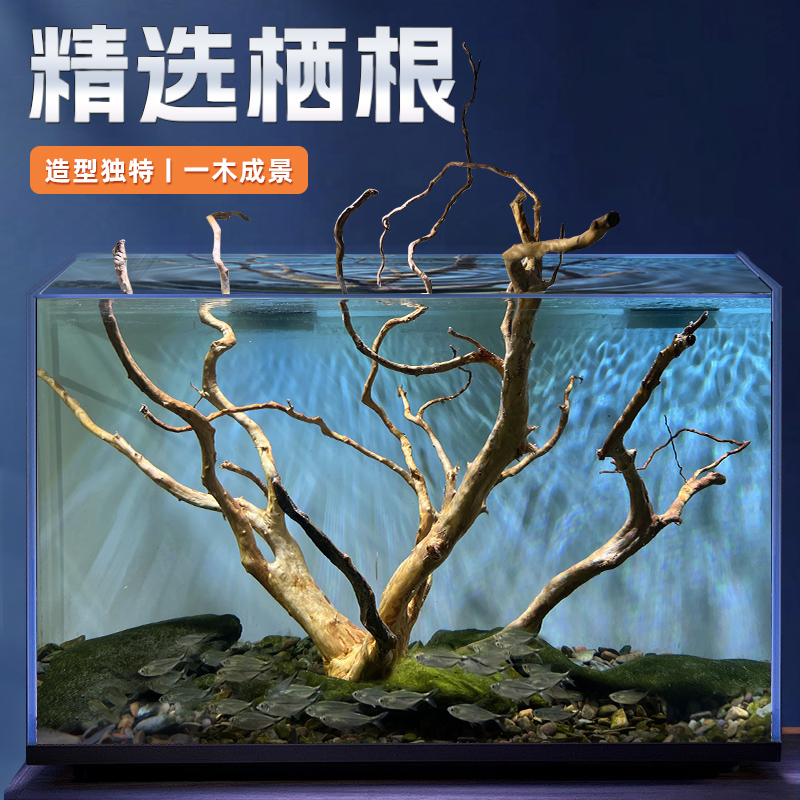 鱼缸造景树枝莫斯树树桩森林沉木