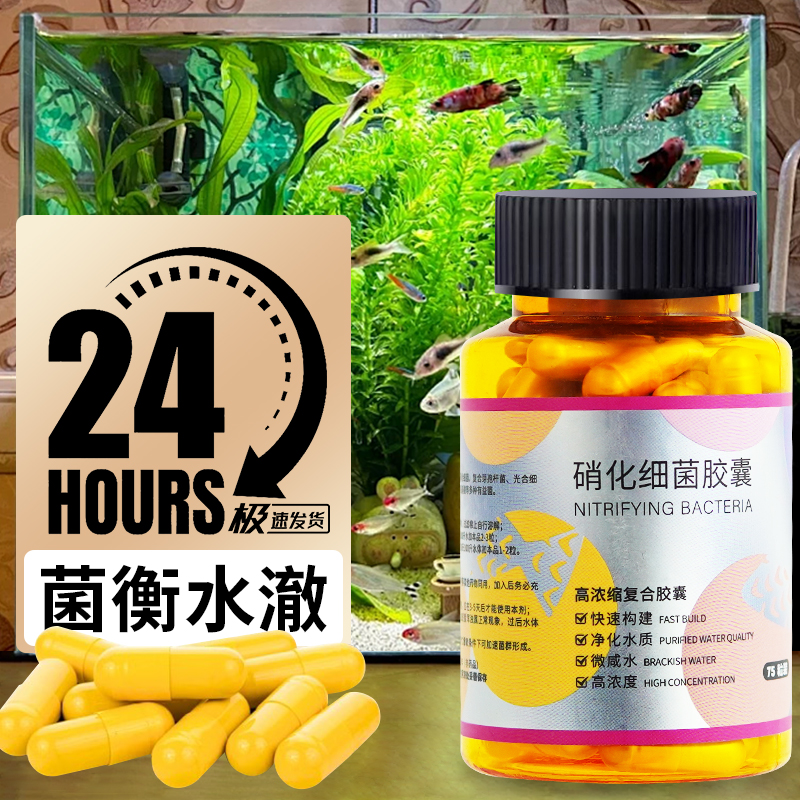 硝化细菌鱼缸用专用胶囊净水剂颗粒活菌干粉水质稳定净化水族鱼用