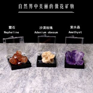 地质科普教学标本矿石矿物晶体方解石黄铁矿共生水晶原石收藏摆件