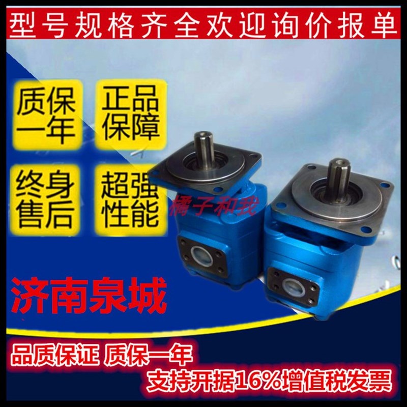 CBG2063/2080济南液压泵有限责任公司液压齿轮泵/挖掘机液压泵