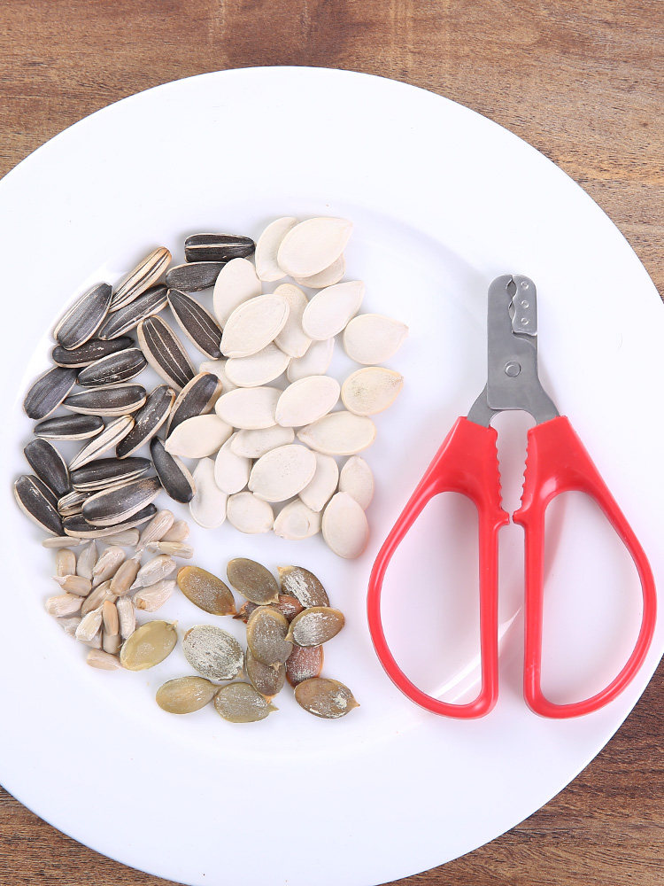 스테인레스 스틸 멜론 종자 필링 도구 멜론 종자 필링 도구 멜론 종자 분리기 가정용 땅콩 포격 기계