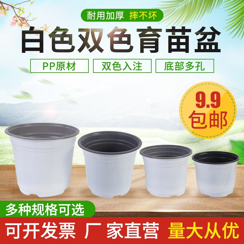 一次性双色特大号加厚简易育苗盆