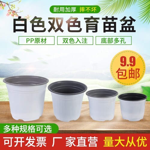 一次性双色特大号加厚简易育苗盆