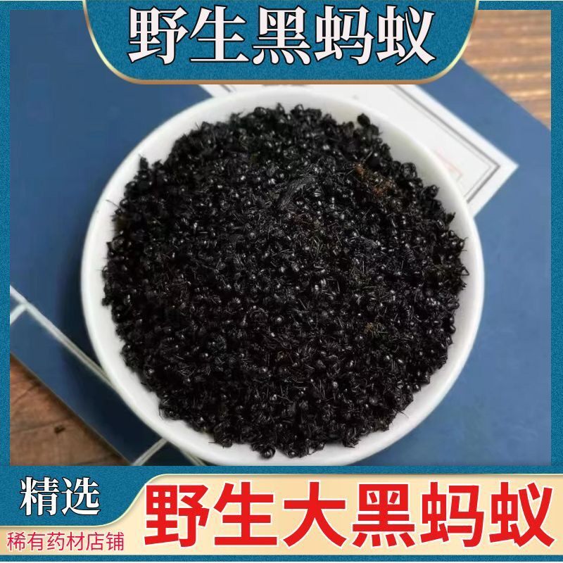 野生黑蚂蚁中药材正品黑蚂蚁中药材野生广西大黑蚂蚁干泡酒料蚂蚁