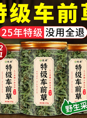 车前草野生新鲜干货官方旗舰店中药材正品袋泡茶水喝的功效与作用