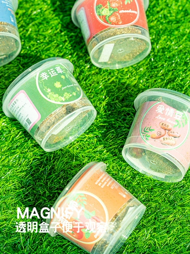 Маленькое детское креативное растение в горшочке для детского сада, наука, подарок на день рождения