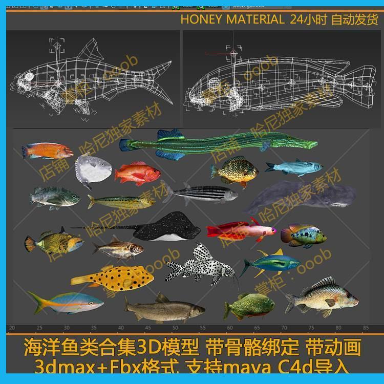 海洋鱼类合集3D模型 带骨骼绑定带动画3dmax+Fbx支持maya C4d导入