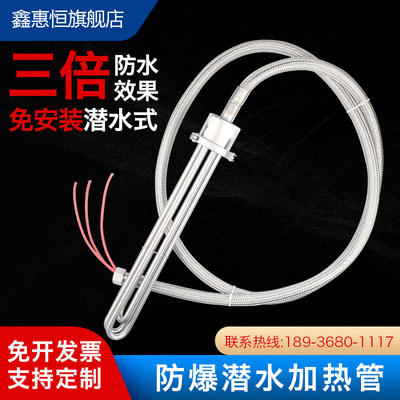 新型防爆潜水电热管 免安装加热管 投入水箱水槽大功率工业加热棒