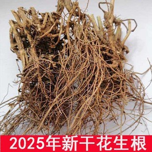 包邮 2025新花生根茎开封新鲜花生根清洗晒干自产花生棵200 500克