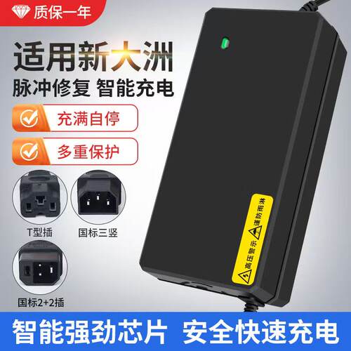 适用新大洲电瓶车智能充电器