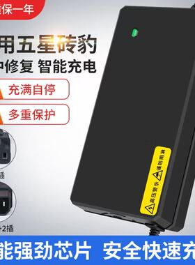 适用五星钻豹电动车充电器48V60V72伏铅酸石墨烯