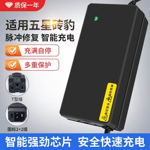 适用五星钻豹电动车充电器