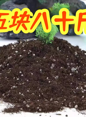 营养土养花专用通用种菜土壤种花花土蔬菜种植土椰砖肥料家用泥土