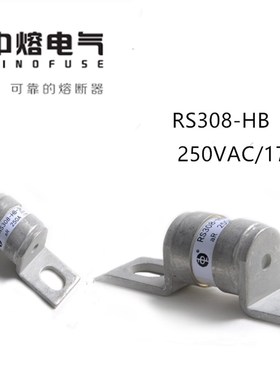 中熔电动汽车保险丝新能源RS308-HB2G16A50A63A80A100A750VDC熔芯