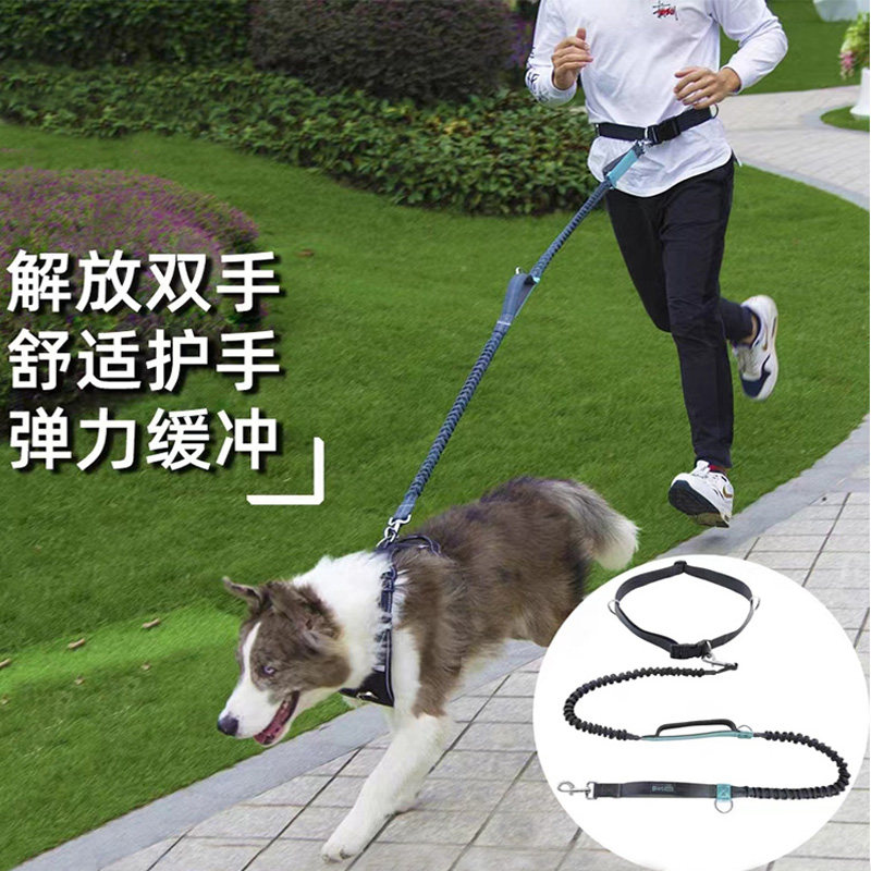 2米6加长腰部牵引绳子弹力中大犬跑步遛狗解放双手多功能拴狗炼子
