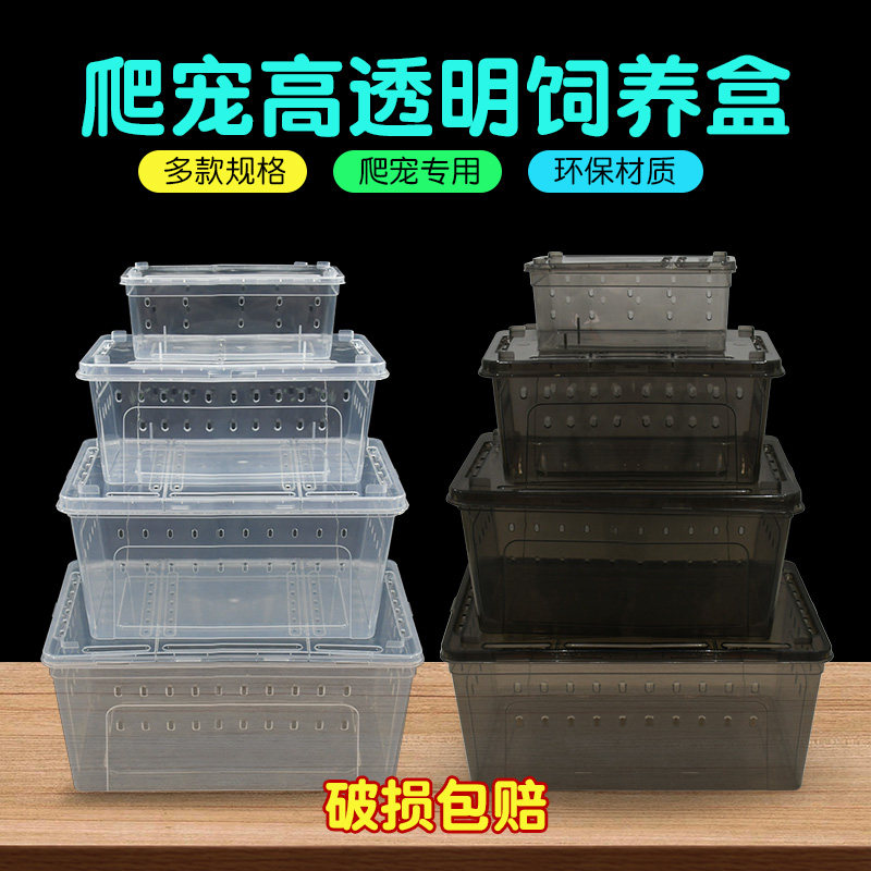 爬宠饲养盒两栖螃蟹守宫角蛙蜘蛛大号乌龟饲养箱带爬台造景爬虫盒