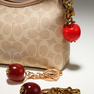 苹果钥匙扣挂件跨境新品汽车挂饰吊坠饰品钥匙扣挂件锁匙扣包挂件