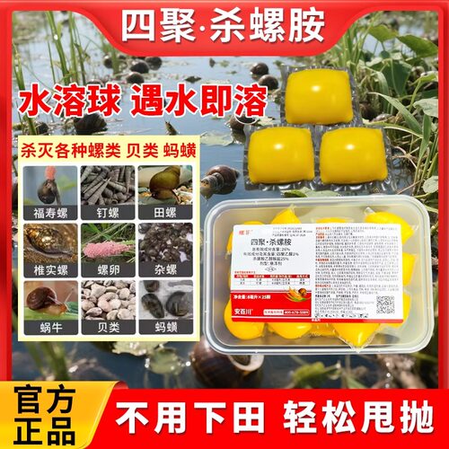 螺菲四聚杀螺胺螺钉螺专用杀虫剂