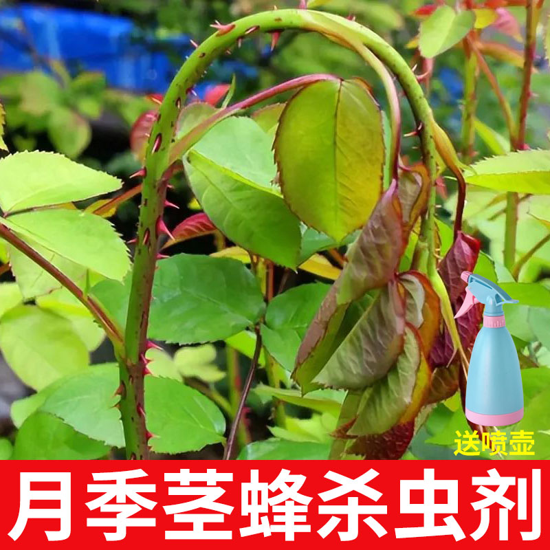 国光月季茎蜂杀虫剂套装