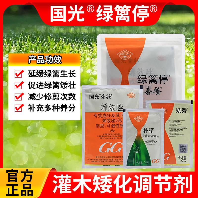 国光绿篱停草坪绿篱植物矮化矮壮素抑制末梢生长减少修剪控旺套餐