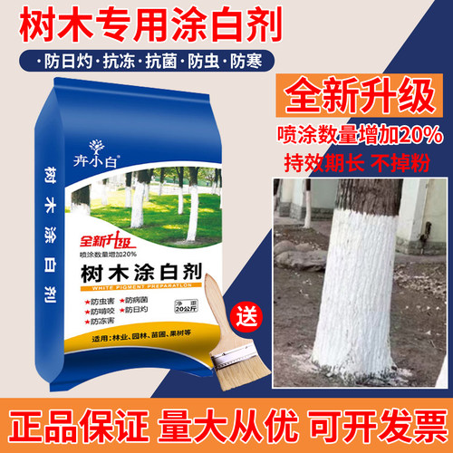 卉小白树干防冻防菌涂白剂