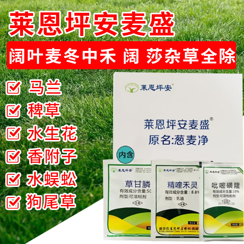 坪安葱麦净麦盛麦草霸麦冬专用除阔叶尖叶香附子莎草杂草除草剂