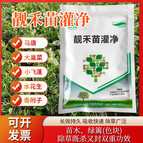 靓禾苗灌净刺菜阔叶除草剂