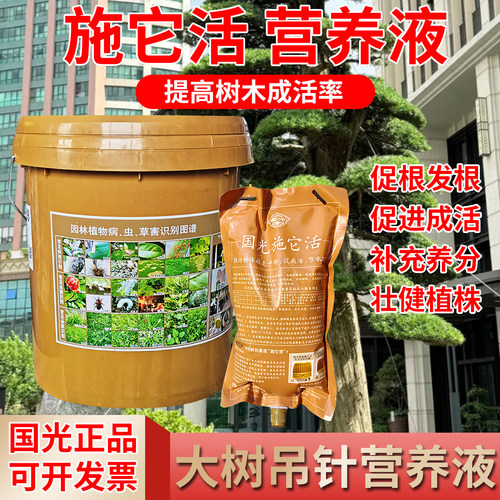 提高成活营养液国光复壮