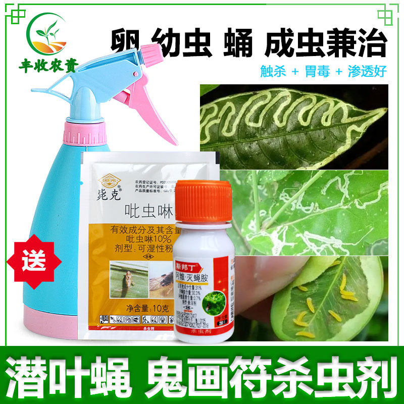 潜叶蝇蛾地图虫鬼画符专用杀虫剂套装柑橘柚子大豆柠檬花卉通用型