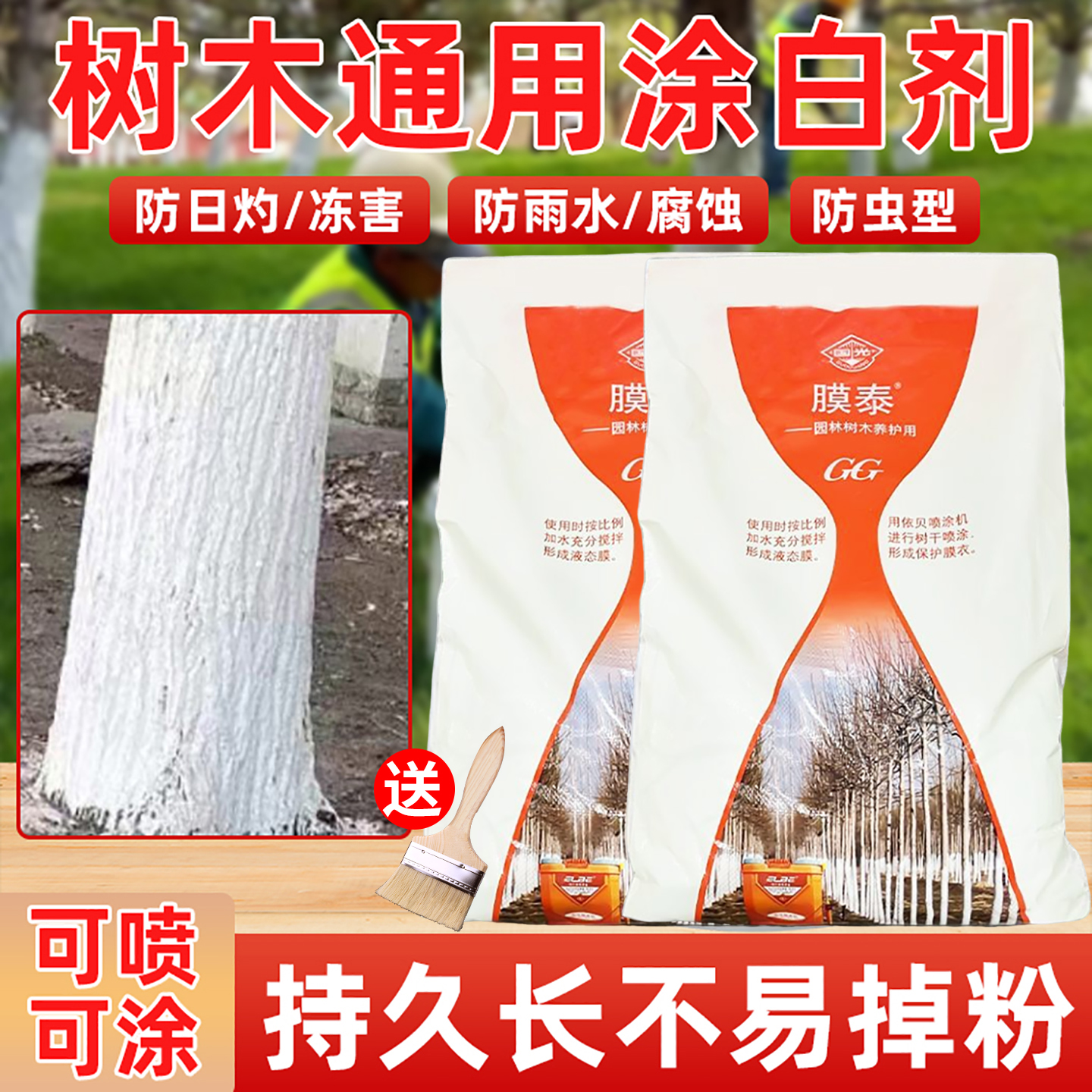 国光涂白剂大树防冻防日灼