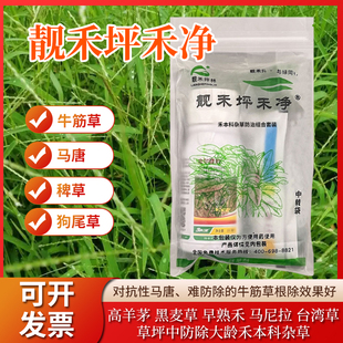 靓禾坪禾净黑麦草马尼拉防除禾本科杂草牛筋草马唐草坪杂草除草剂