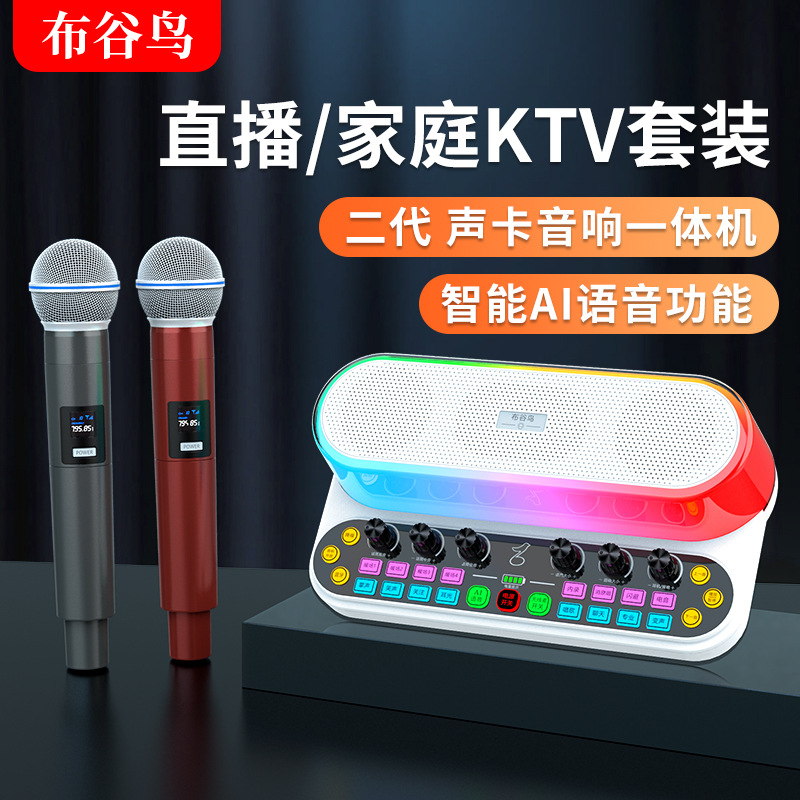 Y10带灯款布谷鸟声卡音响一体机网红专业直播唱歌K歌无线蓝牙音响