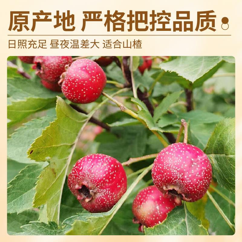 特级无核山楂干山楂片500g新鲜旗舰山楂干泡茶小包装新货花草茶叶