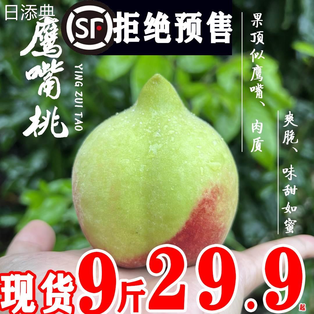 连平上坪河源鹰嘴桃新鲜水蜜脆毛晚桃子当季应季水果整箱10斤包邮