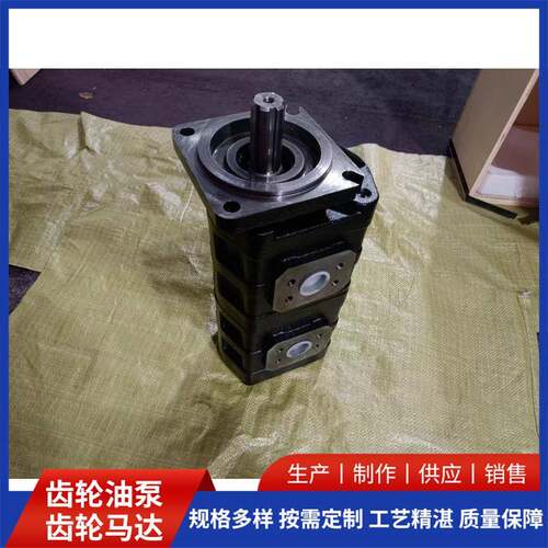 打包机联质泵2100/WWG2100 铁齿轮泵材双优良不易生锈铸材质