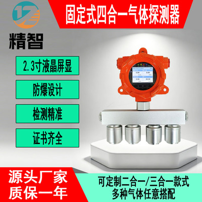 精智壁挂式隧道气体探测器报警器