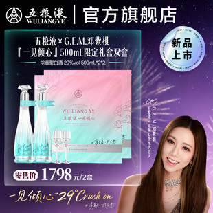 【邓紫棋推荐】29度五粮液一见倾心限定礼盒500mL*2瓶*2白酒双盒