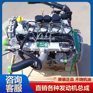 云内4100德威D20D25发动机D30D19国五六F40D45皮带490链条4102D40