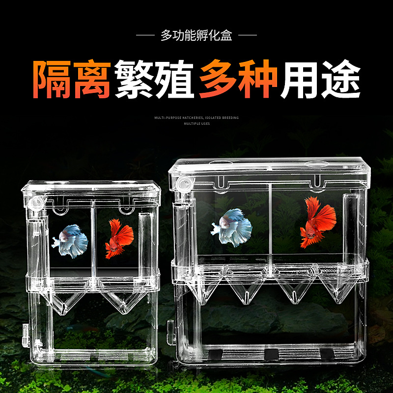 鱼缸隔离盒孔雀鱼孵化盒繁殖箱