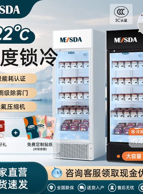 美时达235L大容量立式冷冻展示柜速冻低温冻品冰激凌冰柜商用单门