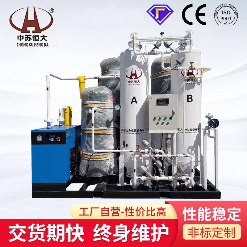 工业氮气机食品蔬菜保鲜高纯度氮气发生器实验室小型制氮机设备
