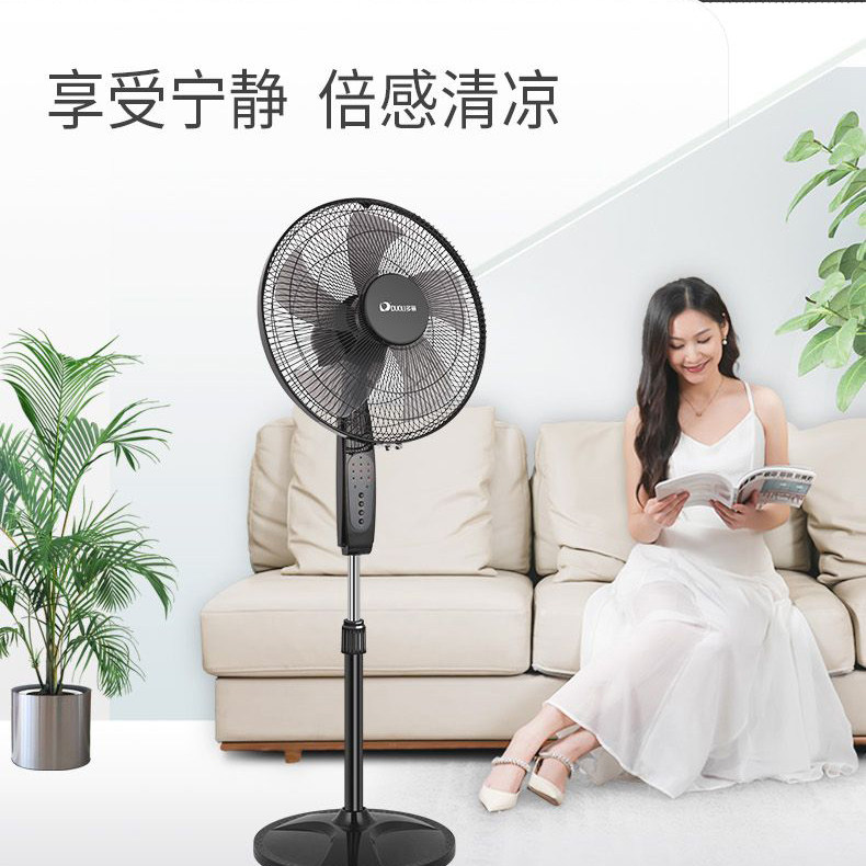 多丽风扇落地扇家用遥控电风扇摇头立式大风三级能效定时5叶16寸