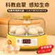 小型家用孵化机智能全自动小鸡芦丁鸡孵化器幼儿科教生命启蒙